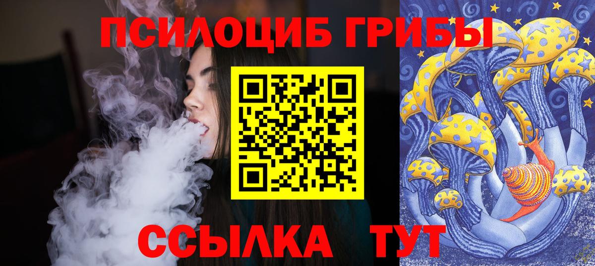 Сыктывкар  Псилоцибиновые грибы Psilocybine cubensis  Вход с VPN  дарнет шоп  Псилоцибиновые грибы мицелий 